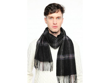 TH-21516-13. ������.30�165 ��. Pa-cc-ia. ������. 806 ���.jpeg