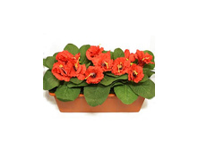 �217 ����������� ������ "���������"(�������) �217 ����������� ������ "���������"(�������) ------ �������	�217 �������,��	40 �� ����,���. (��)	1421.00