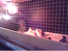 IMG 20160226 135736.jpg