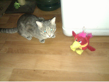 IMG 20160210 001330.jpg