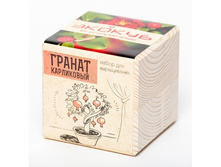 ������ ������ ���������� 250�.jpg