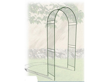 ���� ������� (�����)