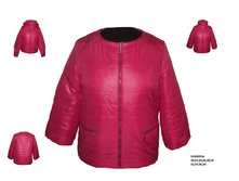 �-24 �������