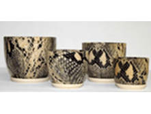 251 CZ �������