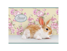 ������ ��� ��������� 08�. �4 �� ������� �������. Sweet pets, ���� 100 �-�2 12,36.jpg