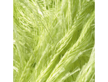 No2036 78,2 ���. + %