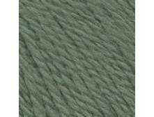 ���� No0248  118 ���. + %