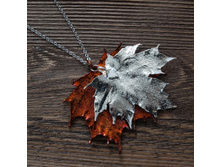 ����� "���� ��������� ���� " ���� - �������, ���������. �������