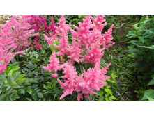 ����� �������.JPG