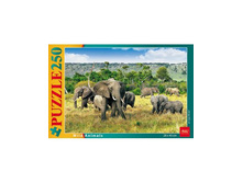 250��3 11214.jpg