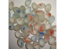 ���������� R11-20GT1