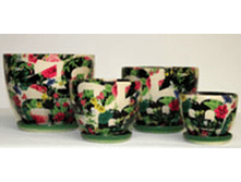 224 ������