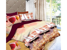 2527 �������� � ������.JPG