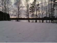 IMG 20160205 152609.jpg