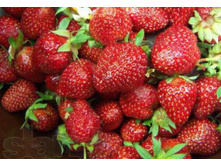 ������� 42�.jpg