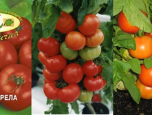 ������� ������ 12 ���.. �������� 1 ��..jpg