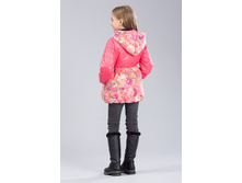 ������� C5808