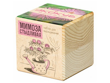 ������ ������ ���������, 250�.jpg