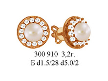 Pic 1 2012810195345.jpg