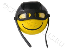 ������� ����� 4,5��.gif