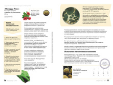 Small PDF Sengara 2015 40.jpg