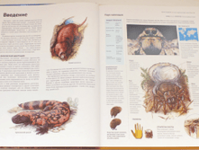 1455876692 91e469fb834b8c61e5568f7f0c644e6d.png