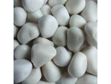 ����� ���.10-20�� 20102G