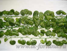 20-2037� �������� "������� ����" 200 ��., ������ �� 12 ���� 518.00