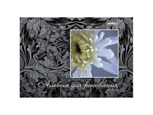 ������ ��� ��������� 48�. �4 �� ������� HD ��������, ����������, ������� �������� 60,54.jpg