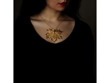 ��. ���� ����