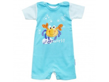 ��������� �������,������� - 462 �.