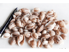 ������� ����� ������� ��., �������:8979, 48�