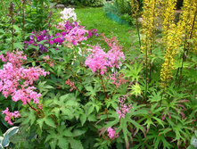 �������� ������� ������