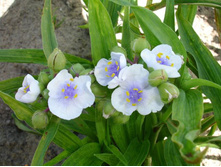 ������������ �����