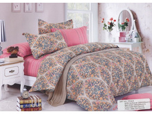 ���. CSP217-1.jpg