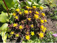 ������� ������������� �������