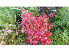 ����� ��������   ������ ������.....