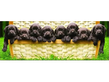 14530 ���� 1000 ������� - ����� �������������.jpg