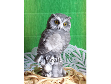 ����� - 210 ���.