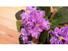 ��-�������