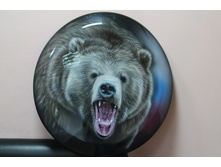 ����������