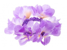 1723. �����. �������. ������ 6 ��. 24 ���.jpg