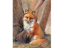 ������ - 38 �� 48 Ag 506 - 1097 ���.