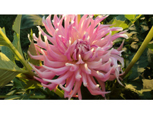 №28������ ������� ..JPG