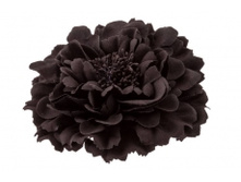 7099. �����. �����-�����. ������ 11 ��. 59 ���.jpg