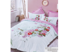 ���. CS976-3.jpg