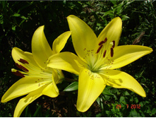 ����� ������ � ��������� (�ϣ ����)