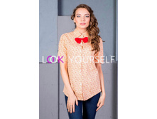 ������� � �������� ���.1806No24.jpg