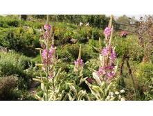 ���������� ����������