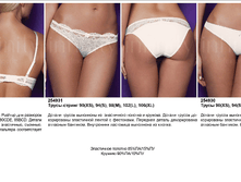 Vega ��������.png